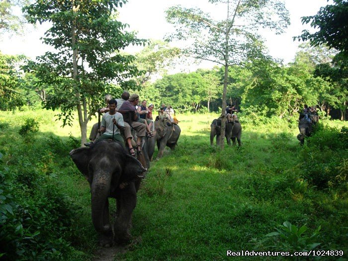 Chitwan | Nepal Highlights | Image #11/15 | 