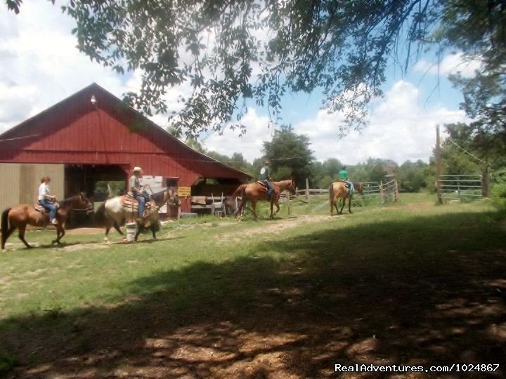 Headin Out | Scenic Horseback  Lessons | Image #7/19 | 