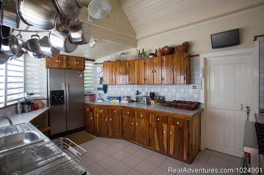 Chef's Kitchen | Llantrissant - A Negril Beachhouse | Image #21/26 | 