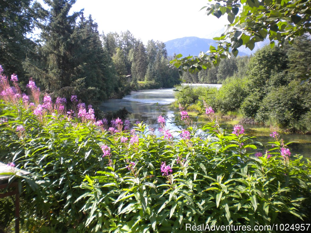 View from the yard | Trail River Gardens Cottage | Image #6/13 | 