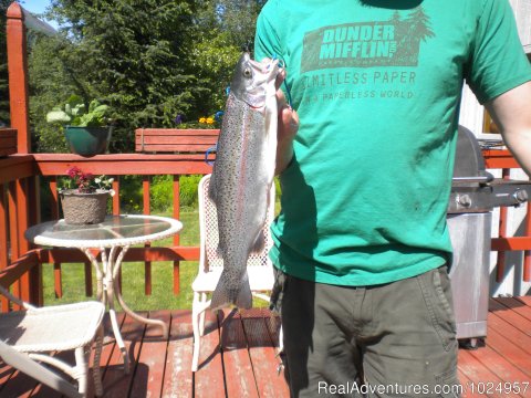 A nice trout from Trail River