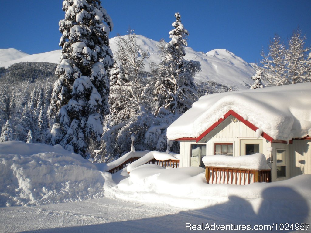 The cottage in winter. | Trail River Gardens Cottage | Image #9/13 | 