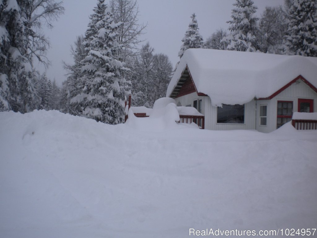 The cottage in winter | Trail River Gardens Cottage | Image #10/13 | 