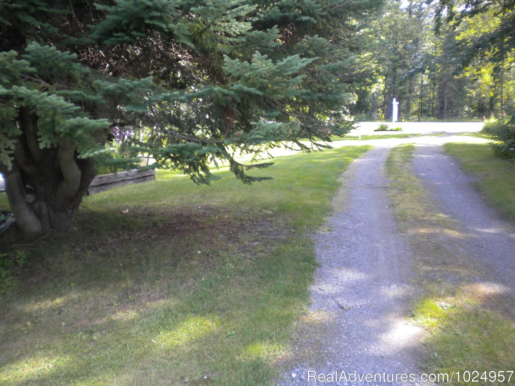 Cottage driveway | Trail River Gardens Cottage | Image #12/13 | 