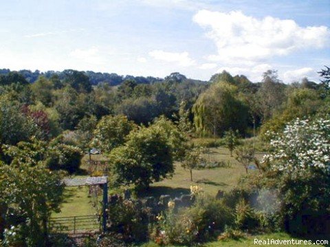 View from Bedroom