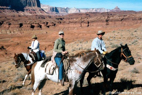 Hondoo Arch | Horse Hotel | Image #14/19 | 