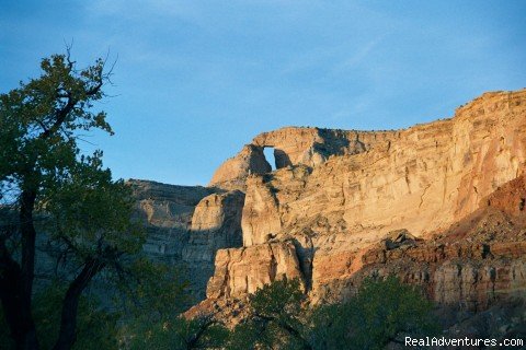 Hondoo Arch | Horse Hotel | Image #17/19 | 