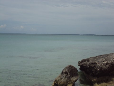 Seaviews directly in front of cottages