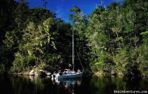 Sailing in the Abel Tasman | Explore New Zealand with Black Sheep Touring Co. | Image #4/11 | 