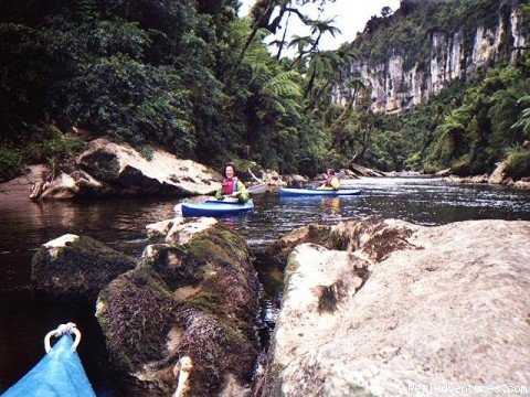 Explore New Zealand with Black Sheep Touring Co. | Image #7/11 | 