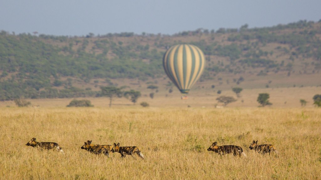 Balloon Safari In Ruaha National Park By Asanterra | Safari In Remote Southern And Western Tanzania | Image #16/17 | 