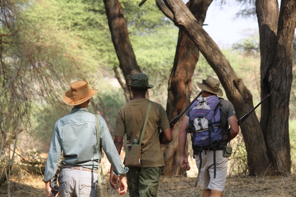 Walking Safari In Ruaha National Park By Asanterra | Safari In Remote Southern And Western Tanzania | Image #10/17 | 