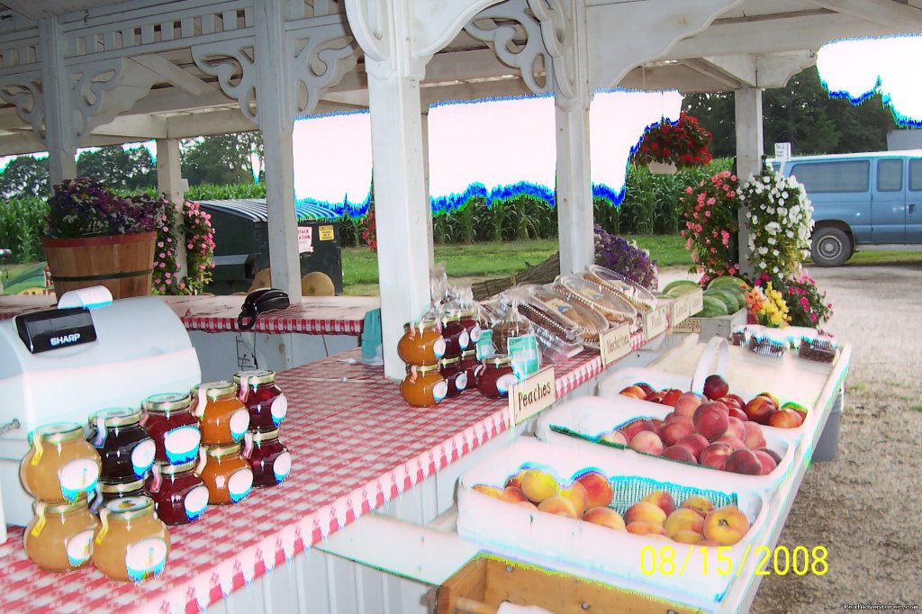 North Fork Wine Country Farm Stand | B&B Romantic Getaway near Greenport | Arbor View | Image #15/21 | 