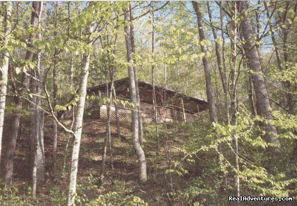 Looking up from stream | Cherokee NC Log Cabin Rental w/ Hot Tub | Image #3/3 | 