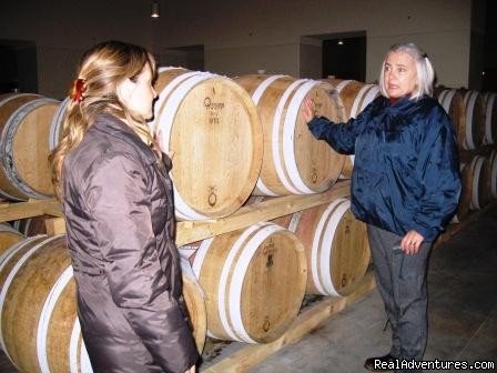 Visit to Brolio Winery | Toscana Mia | Image #6/24 | 