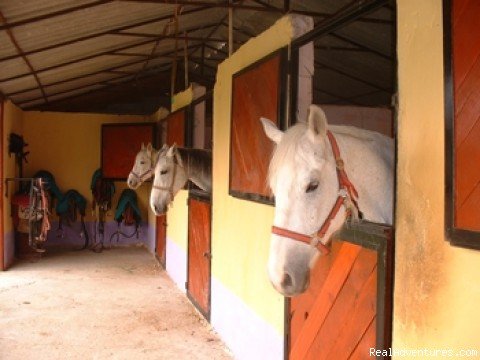 Stables | Sundance Nature Village | Image #3/4 | 