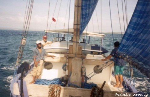 Go Sailing c | Dive & Sail Cruises and Safaris from Bali | Image #3/5 | 