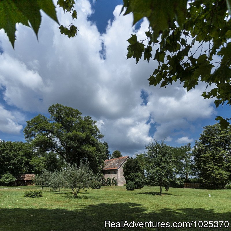 The Bat Barn from outside | The bat Barn, Guest House and Hunting Lodge - | Image #2/12 | 