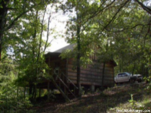 Cabin #4 | Copperhill Country Cabins | Image #4/15 | 