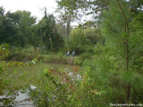 Fishing Pond | Copperhill Country Cabins | Image #6/15 | 