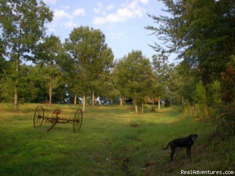 Copperhill Country Cabins | Image #7/15 | 