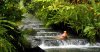 Bill Beard's Costa Rica 2022-23 Vacation Packages | Playa Hermosa, Costa Rica