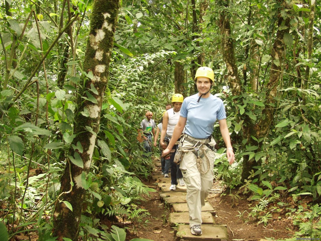 Hiking In The Rainforest At Arenal Volcano, Costa Rica | Bill Beard's Costa Rica 2022-23 Vacation Packages | Image #10/19 | 