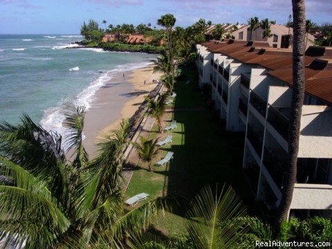 Maui Condo Rental - OCEANFRONT - &Lokelani 2Br& | Image #8/26 | 