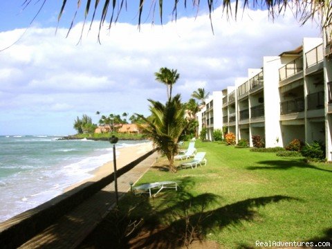 Maui Condo Rental - OCEANFRONT - &Lokelani 2Br& | Image #18/26 | 