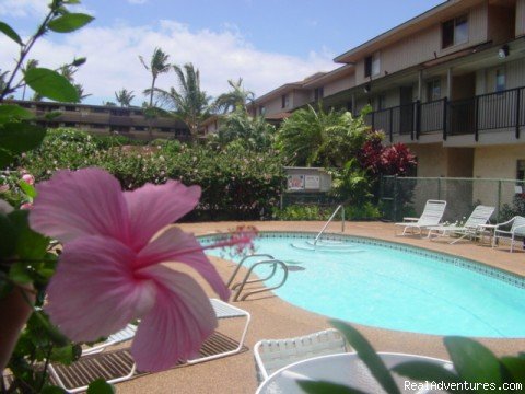 Maui Condo Rental - OCEANFRONT - &Lokelani 2Br& | Image #20/26 | 