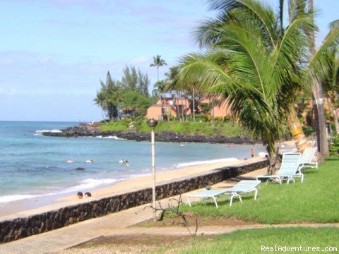 Maui Condo Rental - OCEANFRONT - &Lokelani 2Br& | Image #23/26 | 