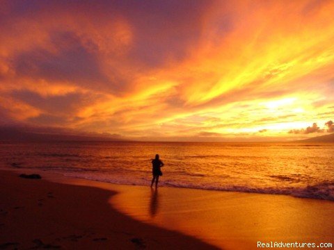 Maui Condo Rental - OCEANFRONT - &Lokelani 2Br& | Image #26/26 | 