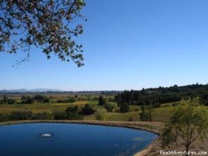 Destination Wedding | Healdsburg, California | Articles