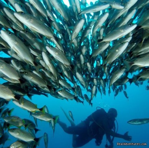 Scuba diving  Costa Rica