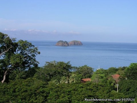 Pacific Ocean View From Restaurant