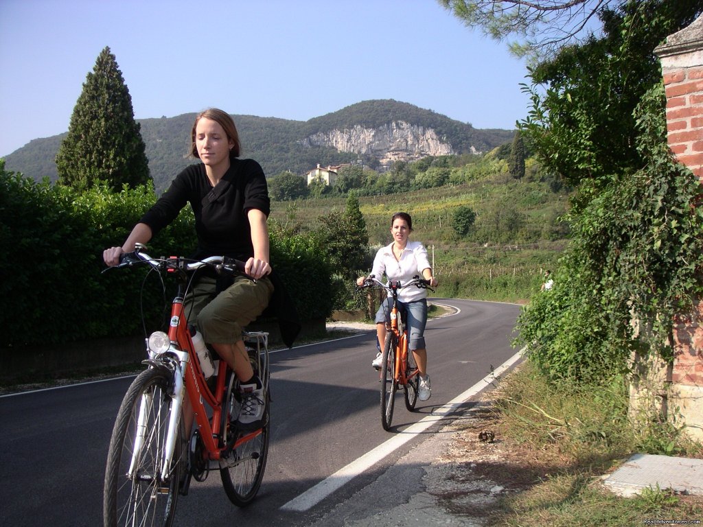 France - Cycling To The Castles Of The Loire Valley | EUROCYCLE - Explore Europe by Bicycle | Image #4/10 | 