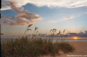 Sandcastle Apartments | Madeira Beach, Florida | Bed & Breakfasts