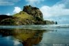 Piha Beach and Bush Cottage | Auckland, New Zealand