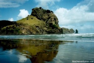 Piha Beach and Bush Cottage