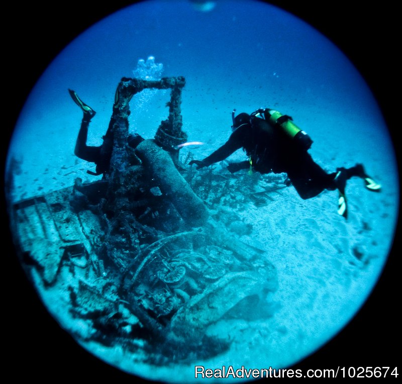 WW2 Wreck - Bristol Beaufighter | Divewise | Image #5/12 | 