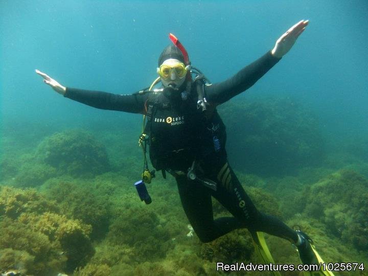 Great Fun | Divewise | Image #7/12 | 