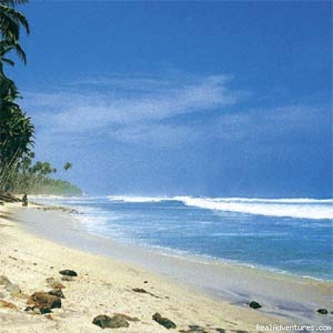 Photo #1 | Tours in Sri Lanka | Colombo, Sri Lanka | Eco Tours | Image #1/2 | 