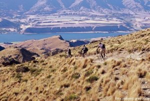 Mountain bike Heli bike-Fat Tyre New Zealand 