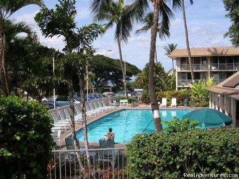 Lounge by the pool, go for a swim