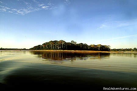 Tambopata Jungle