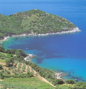 Navarro Hill Resort | Argentario   Gr, Italy | Bed & Breakfasts