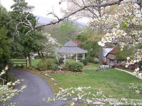 Year-round Flowering Gardens | 1906 Pine Crest Inn & Restaurant | Tryon, North Carolina  | Bed & Breakfasts | Image #1/3 | 