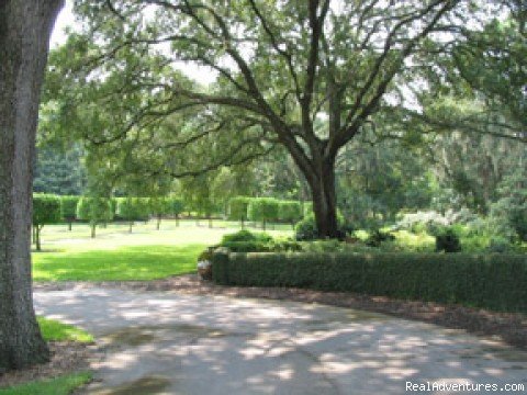 Winding paths at Bok Sanctuary | A Change of Pace in Sunny Central Florida | Bartow, Florida, Florida  | Articles | Image #1/3 | 