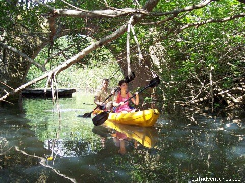 Great Discoveries on the Bay | Purveyors of Uncommon Adventures | Coral Gables , Florida  | Sight-Seeing Tours | Image #1/1 | 