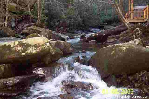 And a creek runs through it (White Oak Creek) | Creekside luxury log cabins in the Smokies | Image #3/17 | 